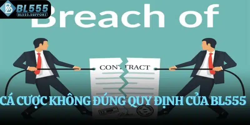 Cá cược không đúng quy định của BL555