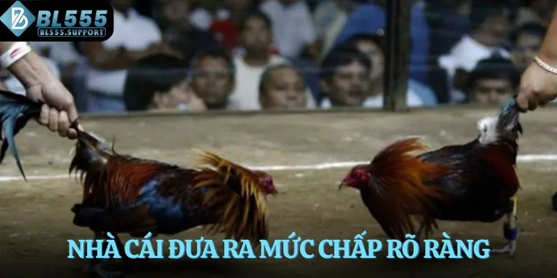 Nhà cái đưa ra mức chấp rõ ràng